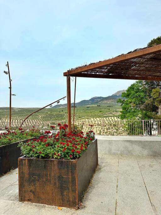 Los Molinos Quesada Eksteriør bilde